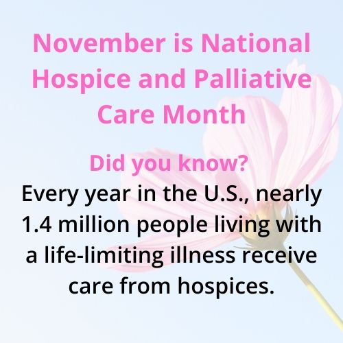 Hospice fact graphic