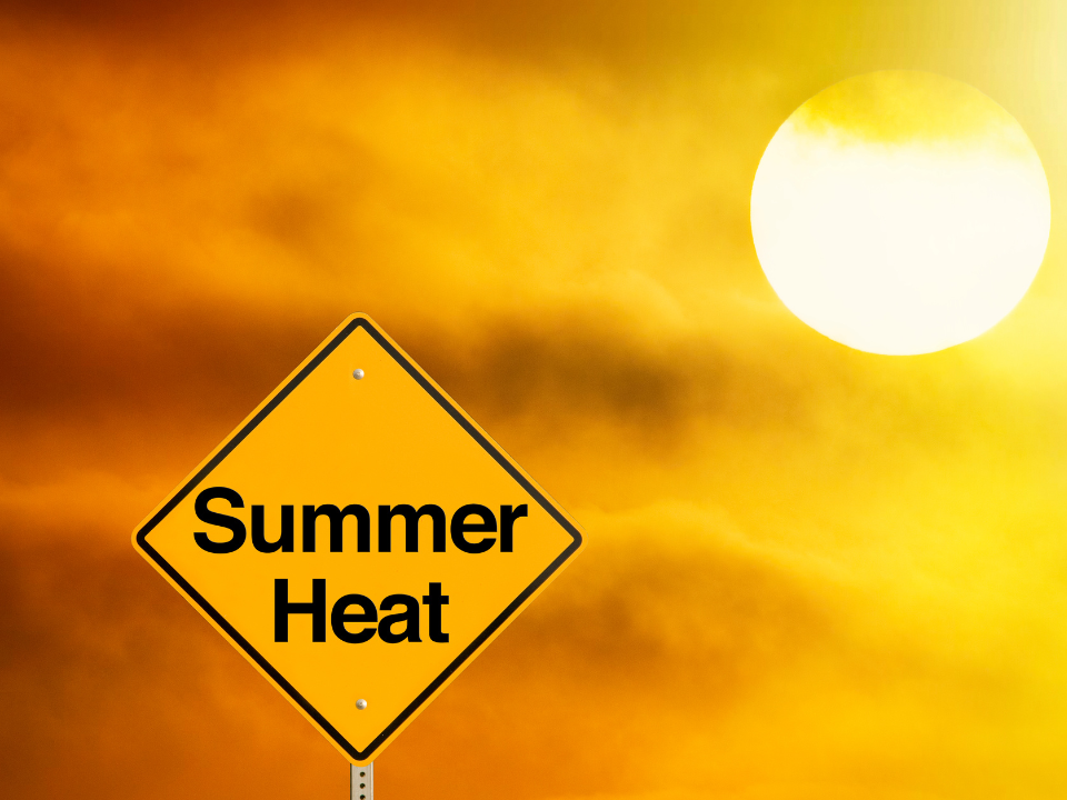 Summer Crisis Program Starts July 1